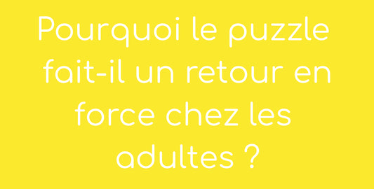 Image de blog pour savoir pourquoi le puzzle fait un retour en force chez les adultes